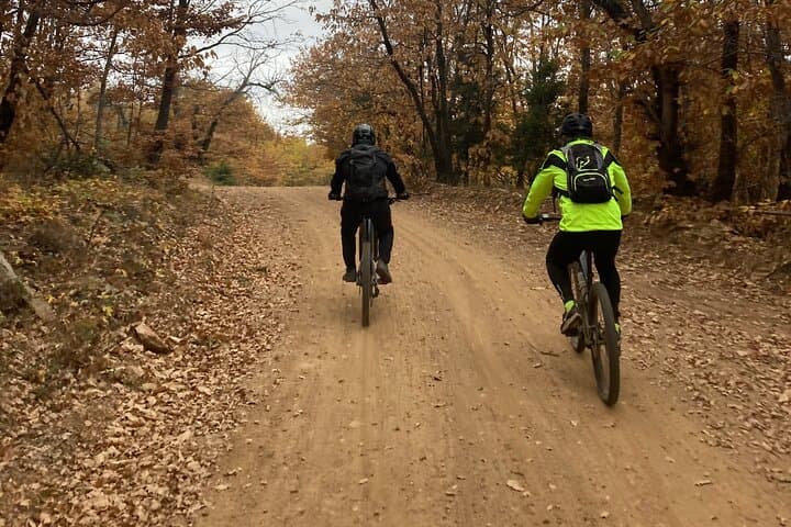 Thessaloniki E-Bike Mountain Adventure: Forest Trails and Scenic Rides Near the City photo 3