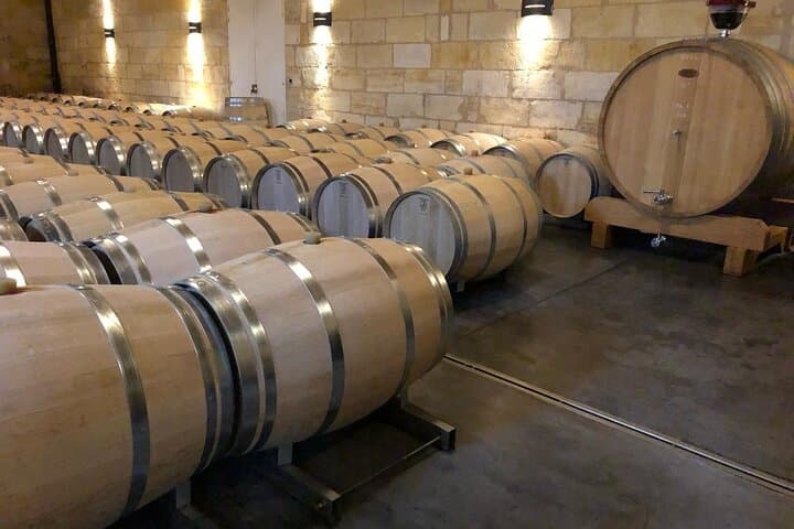 Bordeaux Day Tour: Médoc Châteaux and Saint-Émilion Wine Tasting photo 6