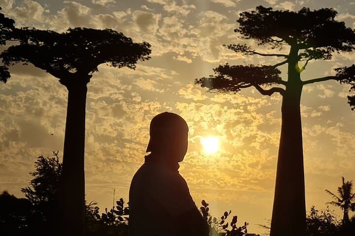 7-Day Baobab Safari Roadtrip in Madagascar: Baobabs, Lemurs & Tsingy photo 2