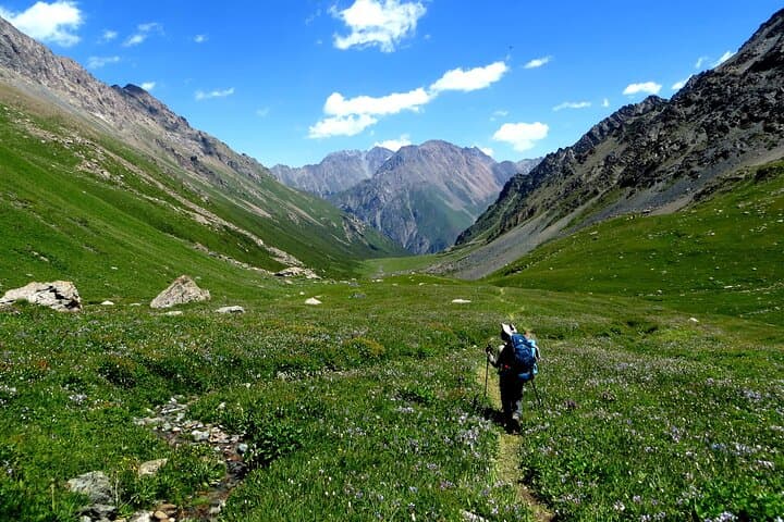 Trans-Alay Trek: Tulpar-Kol to Jiptik and Sary-Mogol Passes photo 4