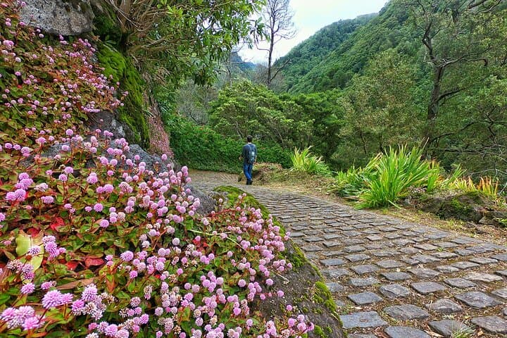 Full-Day Hike to Salto do Prego, Sanguinho & Furnas Thermal Pools photo 4