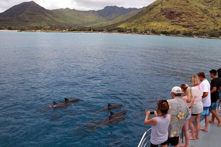 Zipline and Dolphin-Watching Snorkel Adventure in West Oahu — Coral Crater to Ko Olina photo 2