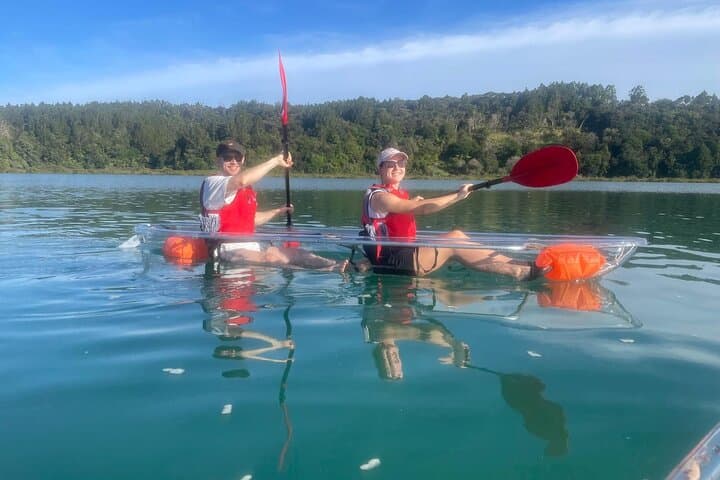 Clear-Bottom Kayak on Okura River — See-Through Kayak Safari Near Auckland