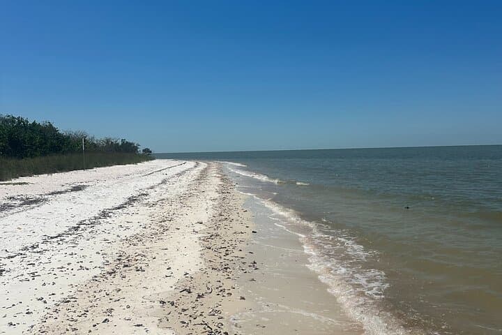 Ten Thousand Islands Shelling and Eco Boat Tour from Naples photo 3