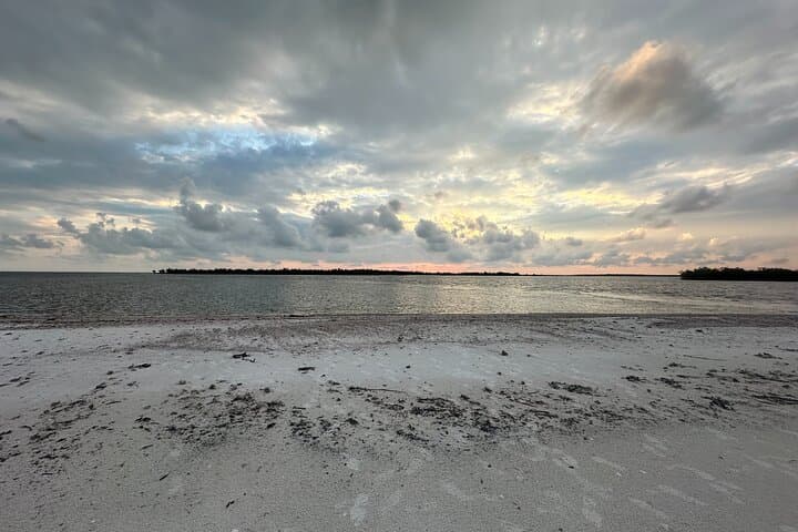 Ten Thousand Islands Shelling and Eco Boat Tour from Naples photo 5