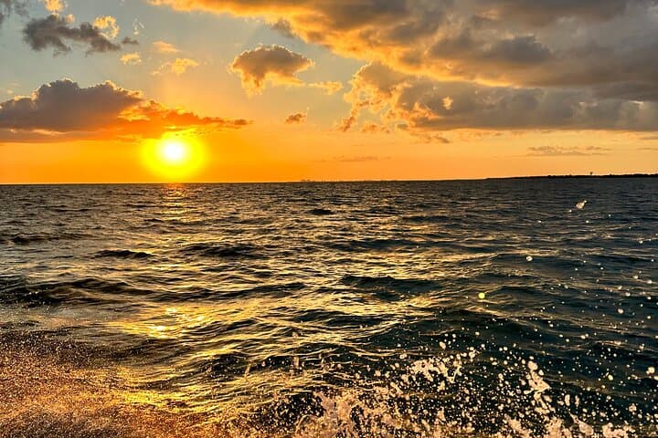 Ten Thousand Islands Sunset, Beach & Eco Boat Tour — Naples Mangrove Shelling Excursion photo 2