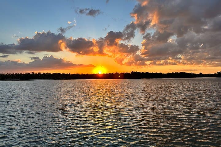 Ten Thousand Islands Sunset, Beach & Eco Boat Tour — Naples Mangrove Shelling Excursion photo 4