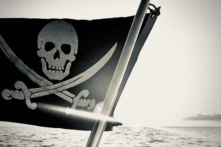 Everglades Pirate and Beach Adventure — Ten Thousand Islands Boat Tour from Naples