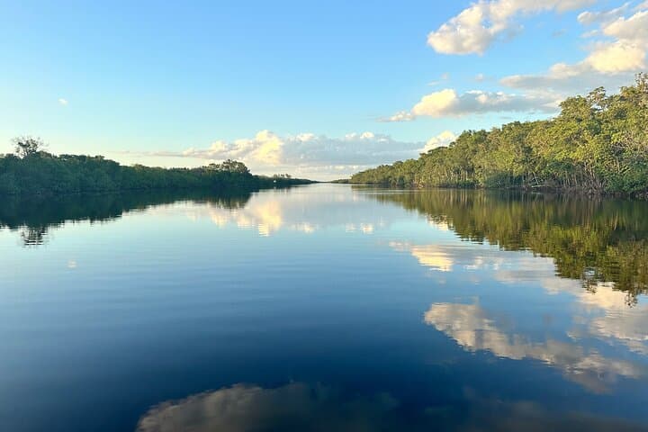 Everglades Pirate and Beach Adventure — Ten Thousand Islands Boat Tour from Naples photo 6