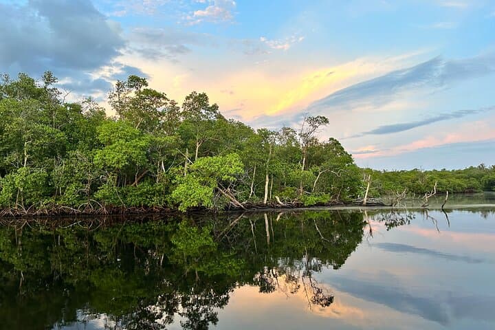 Everglades Pirate and Beach Adventure — Ten Thousand Islands Boat Tour from Naples photo 4
