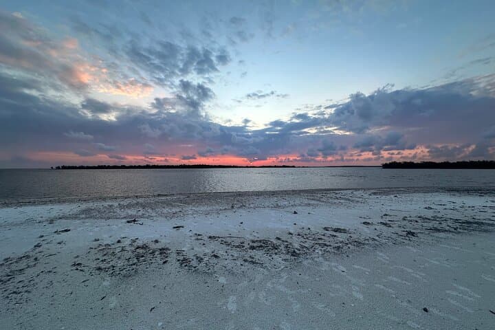 Everglades Pirate and Beach Adventure — Ten Thousand Islands Boat Tour from Naples photo 5