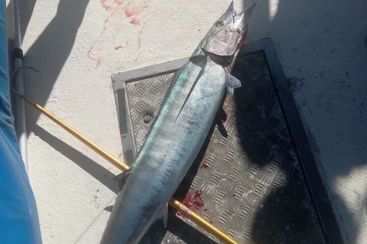 3-Hour Waikiki Reef Fishing: Diamond Head Views and Local Catches photo 5