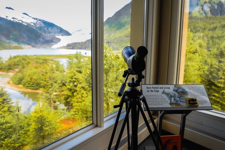Exploring Mendenhall Glacier: A Self-Guided Adventure from Juneau photo 6