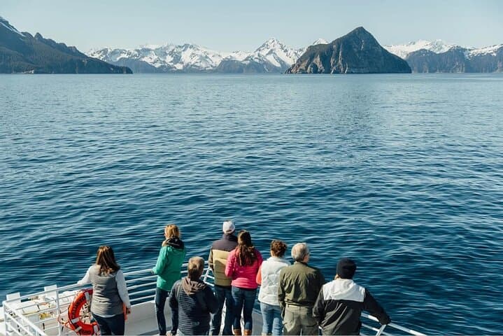 Captain's Choice Kenai Fjords Cruise from Seward: 7‑Hour Glacier & Wildlife Tour photo 3