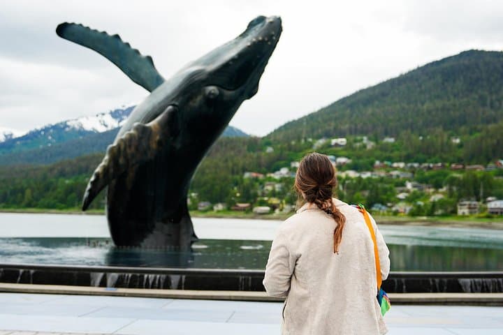 Juneau City Tour: Historic Downtown, Douglas Island & Glacier Views in 90 Minutes photo 1