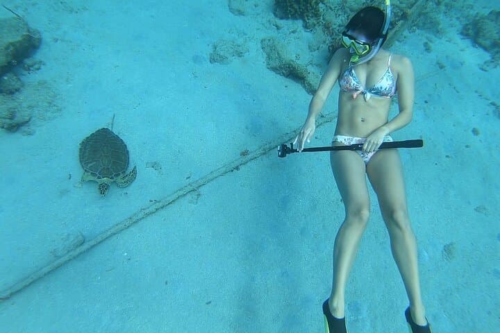 Snorkel with Sea Turtles at Rainbow Beach, St. Croix — 90-Min Guided Tour photo 3