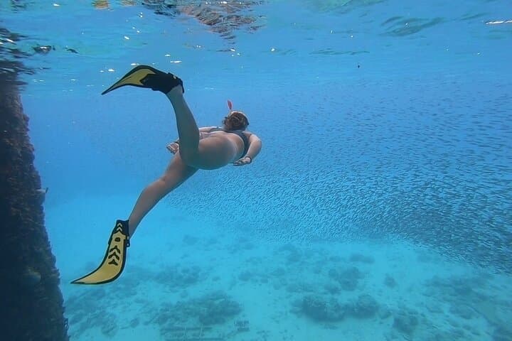 Snorkel with Sea Turtles at Rainbow Beach, St. Croix — 90-Min Guided Tour photo 4