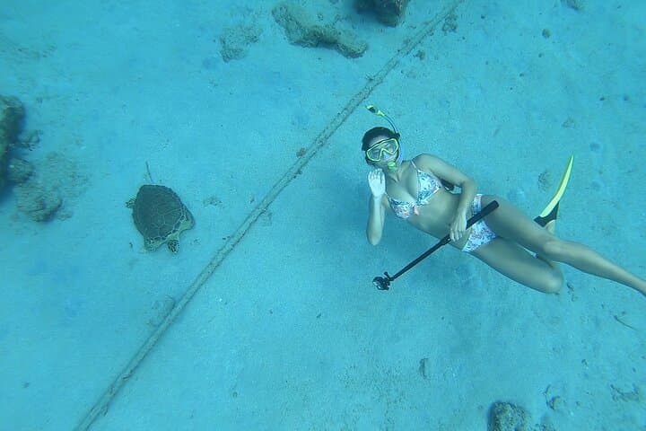Snorkel with Sea Turtles at Rainbow Beach, St. Croix — 90-Min Guided Tour photo 5