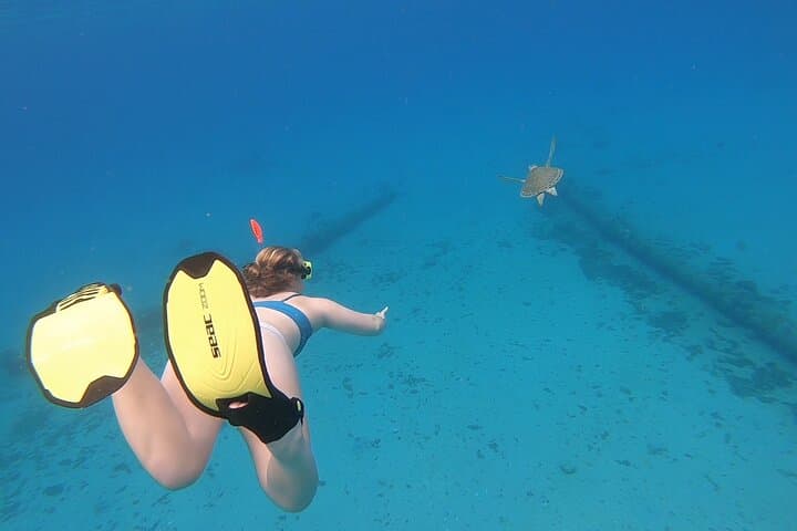 Snorkel with Sea Turtles at Rainbow Beach, St. Croix — 90-Min Guided Tour photo 6
