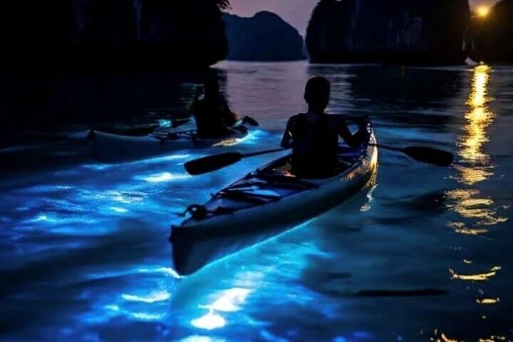 Phang Nga Bay Bioluminescent Canoe & Twilight Speedboat Tour from Phuket