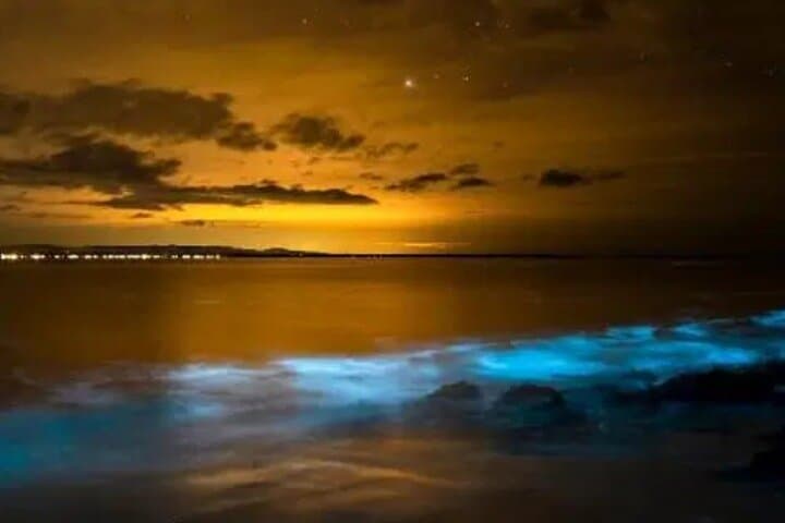 Phang Nga Bay Bioluminescent Canoe & Twilight Speedboat Tour from Phuket photo 4