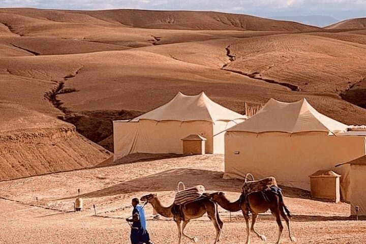 Sunset Camel Ride & Quad Adventure with Dinner Show in Agafay Desert photo 5