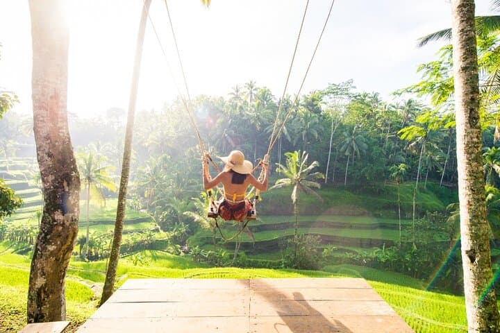 Private Ubud Culture Tour: Monkey Forest, Tegalalang & Tirta Empul Day Trip photo 3