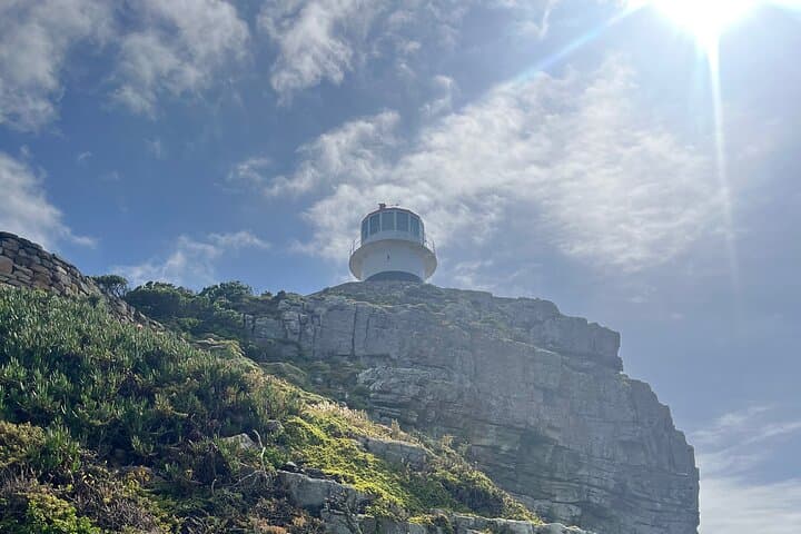 Full-Day Cape Point & Boulders Beach Penguin Tour from Cape Town photo 5
