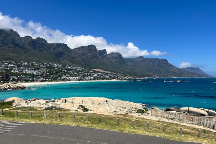Full-Day Cape Point & Boulders Beach Penguin Tour from Cape Town photo 3