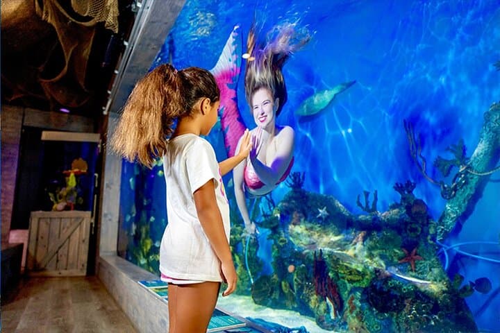 Mertailors-mermaid-aquarium-encounter-st-augustine-family-friendly-aquatic-show photo 2