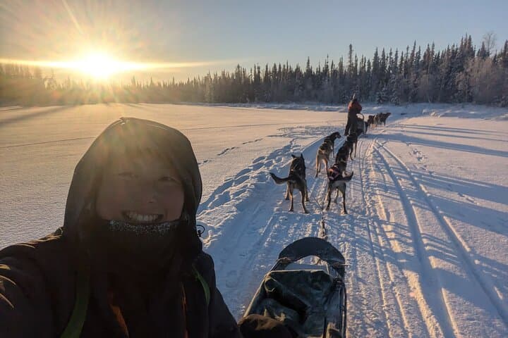 Ride with Alaskan Huskies: Dog Sledding at Enodah Kennel, Yellowknife photo 1