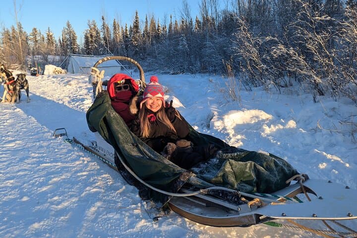 Ride with Alaskan Huskies: Dog Sledding at Enodah Kennel, Yellowknife photo 4