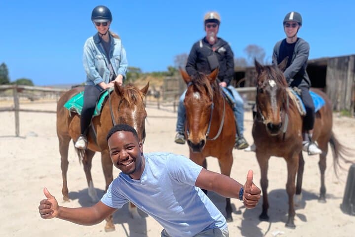 Cape Town Beach Horse Ride: Ocean & Mountain Trails with Hotel Pickup photo 3