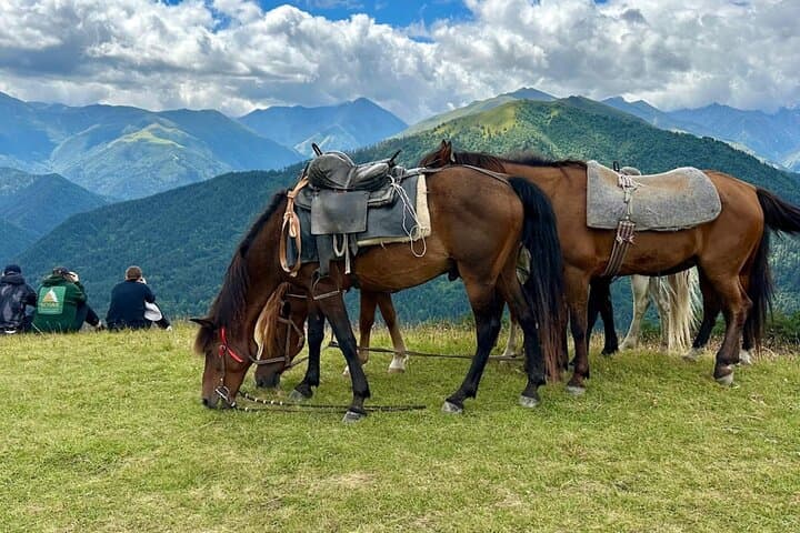 Four-Day Tusheti Highlands Trek: Omalo, Abano Pass & Alpine Villages photo 4
