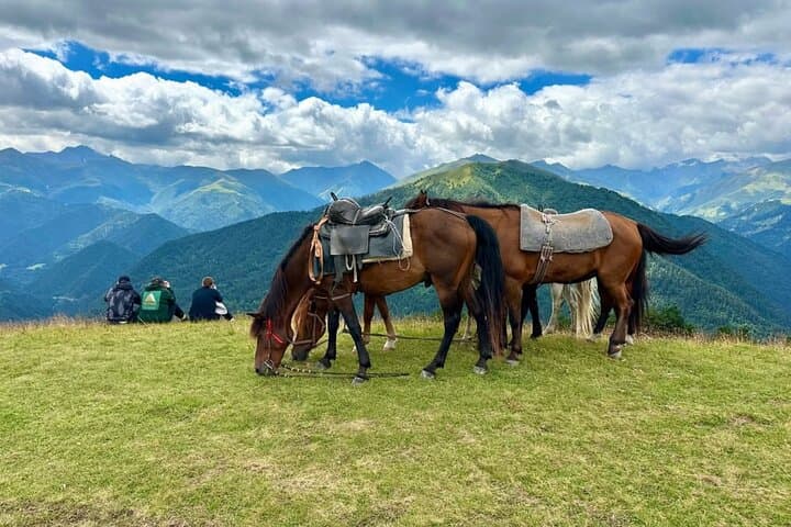 Off‑Road to Tusheti: 4‑Day Abano Pass Expedition & Cultural Immersion