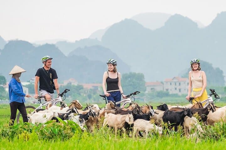 Halong Bay Day Cruise: Kayaking, Titov Island & Surprise Cave from Hanoi photo 2