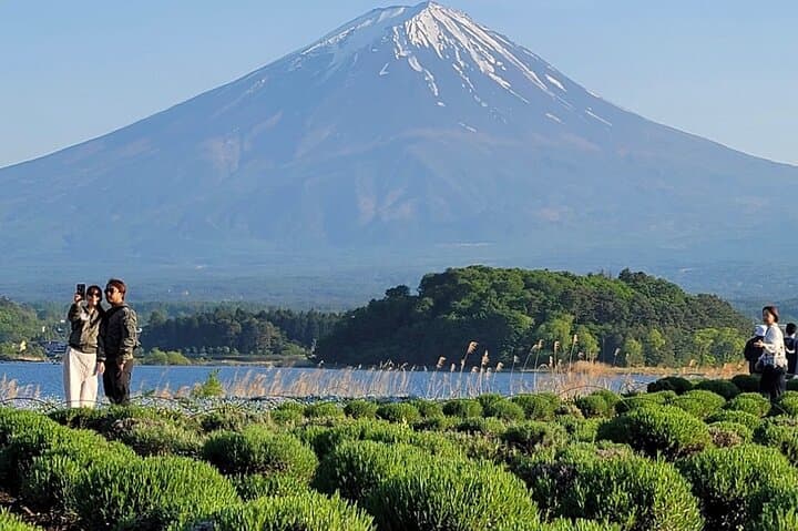 Mount Fuji Full-Day Private Tour — Kawaguchiko, Chureito Pagoda & Oshino Hakkai photo 6