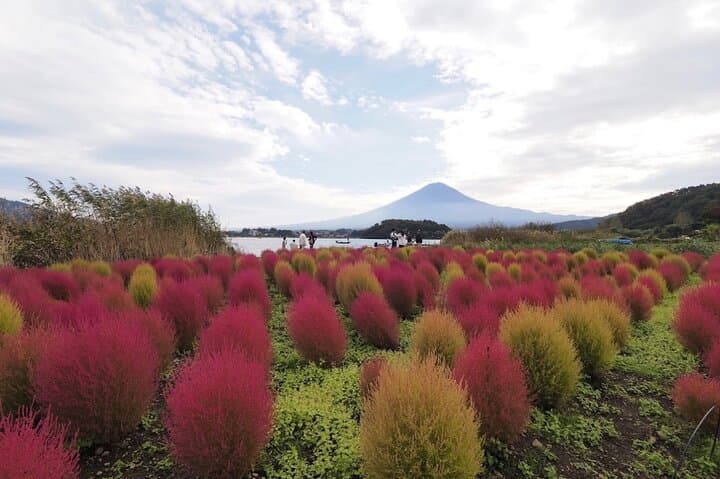 Mount Fuji Full-Day Private Tour — Kawaguchiko, Chureito Pagoda & Oshino Hakkai photo 5