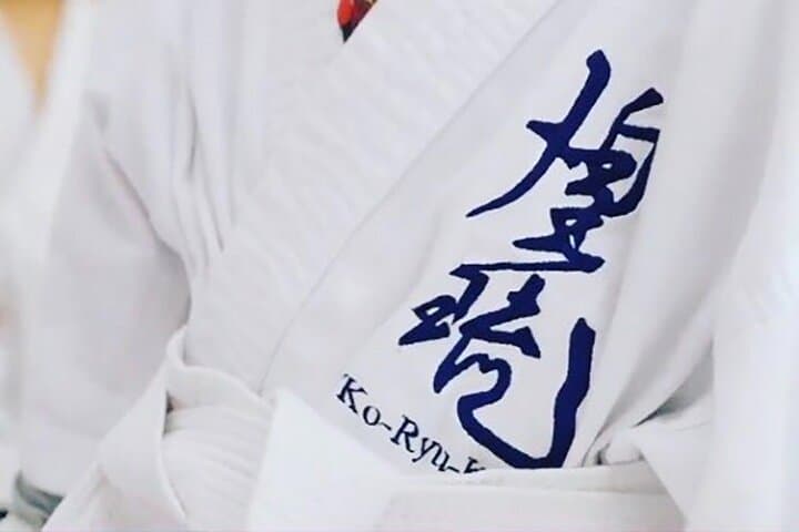 Karate Dojo Experience in Sakaide — Intro to Japanese Martial Arts in Kagawa photo 4