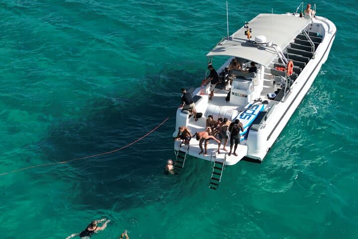 Palma Marine Reserve Cliff Caves Snorkel and Paddleboard Speedboat Tour photo 3