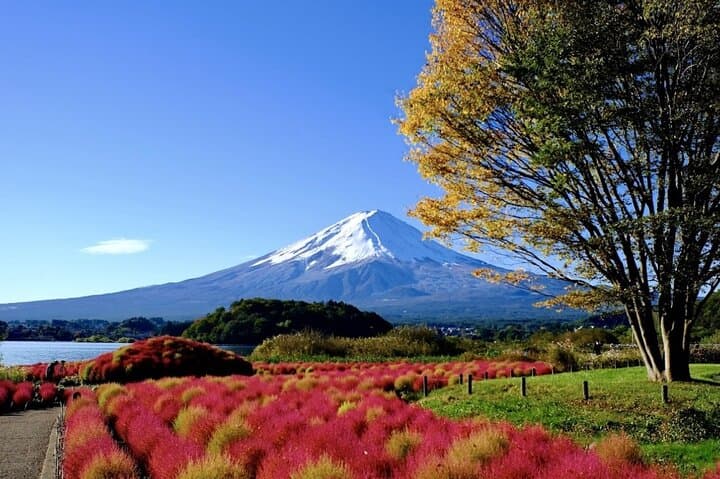 Mount Fuji Full-Day Private Tour — Kawaguchiko, Chureito Pagoda & Oshino Hakkai photo 3