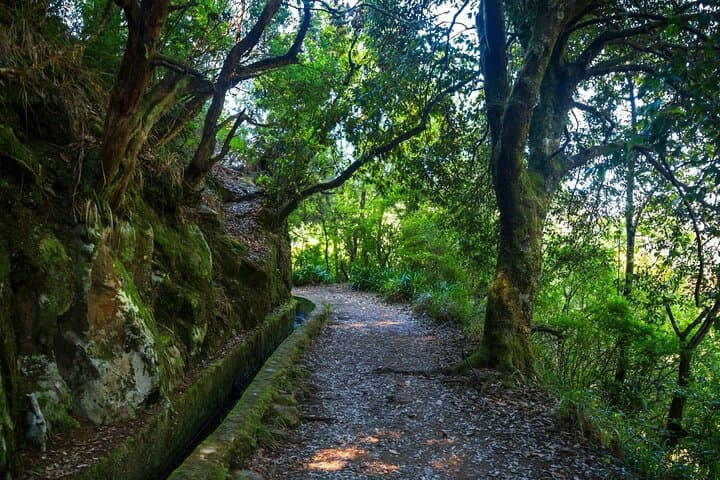 Eastern Madeira Day Tour: Santana Walk, Levada dos Balcoes & Pico do Arieiro photo 3
