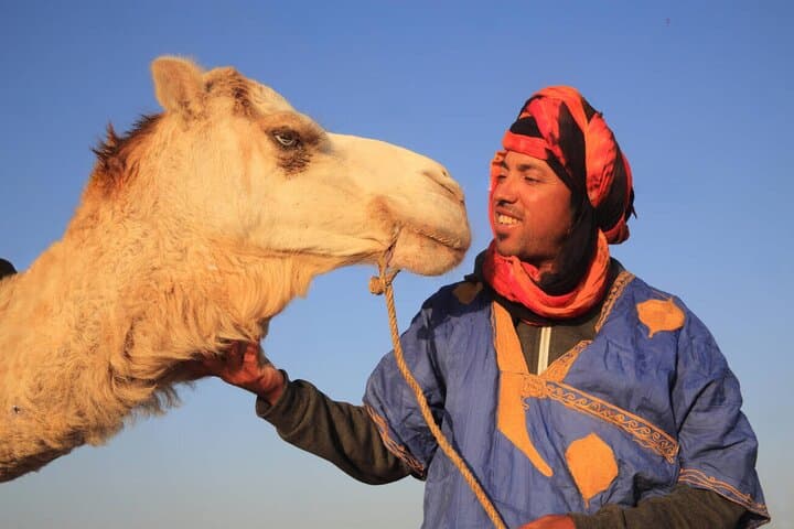 Fez to Marrakech: 3-Day Sahara Dunes, Gorges, and Kasbahs Adventure photo 2