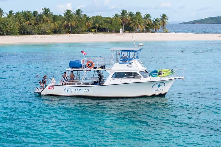 Tobias Icacos Half-Day Snorkel and Beach Escape from Fajardo photo 3