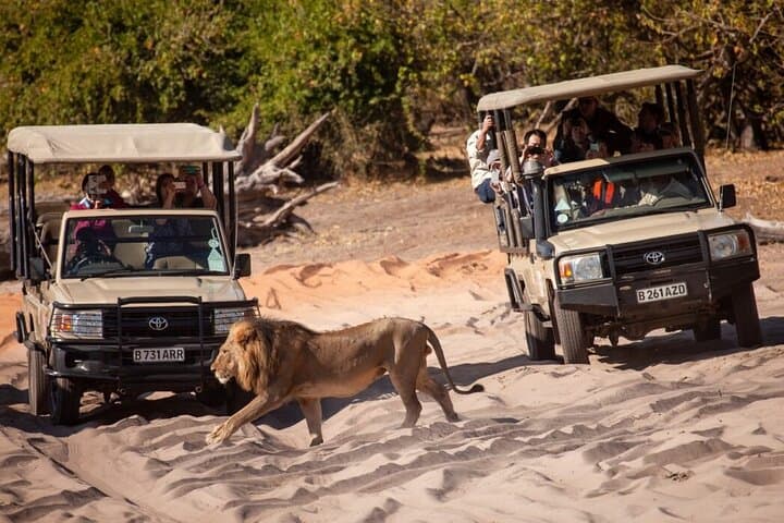 5-Day Classic Victoria Falls & Chobe Safari: Waterfalls, River Cruises & Big Game photo 4
