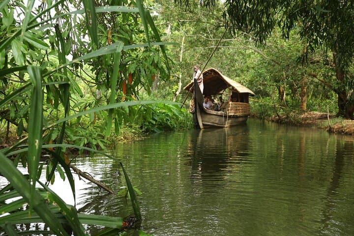 Kochi Backwater Tour: Non-Motorized Kettu Vallam & Village Canoe Cruise