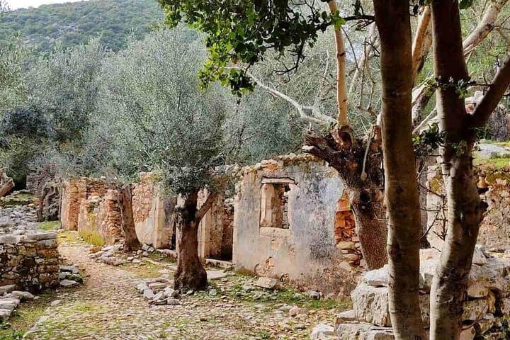 Kefalonia Private Tours — Myrtos Viewpoint, Assos Village & Emblisi Swim (4‑Hour Private Trip) photo 5