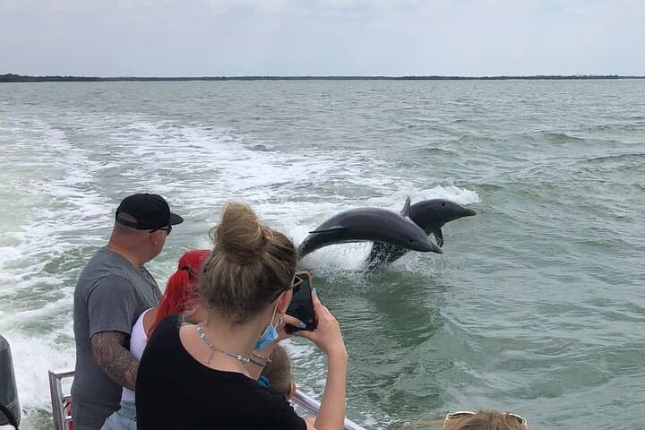 Private 10,000 Islands Dolphin, Shelling & Birding Tour from Chokoloskee photo 5