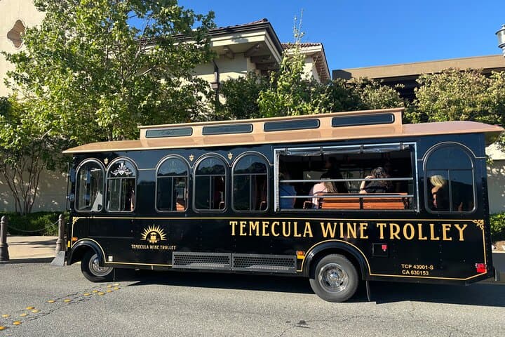 Temecula Luxury Trolley Wine Tour: Old Town Tastings & Boutique Wineries