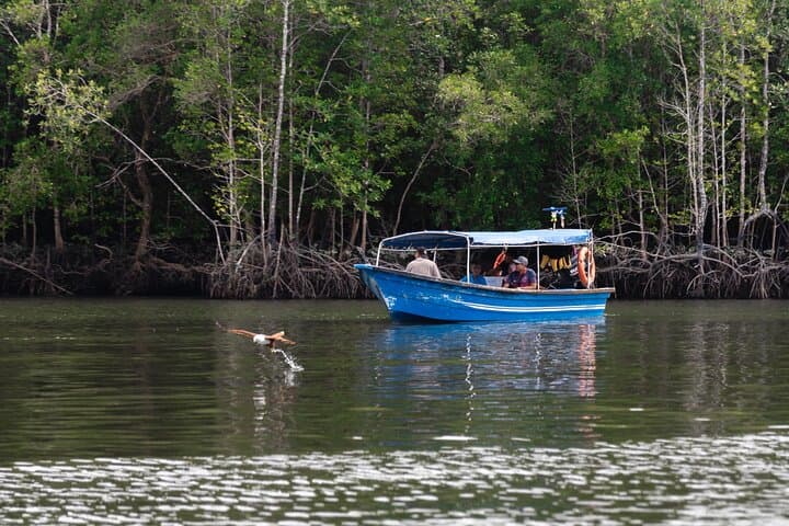 Langkawi Kilim Mangrove Boat Safari & Dangli Island Snorkel photo 3